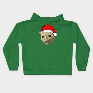 The Coughing Cat on Christmas Kids Hoodie